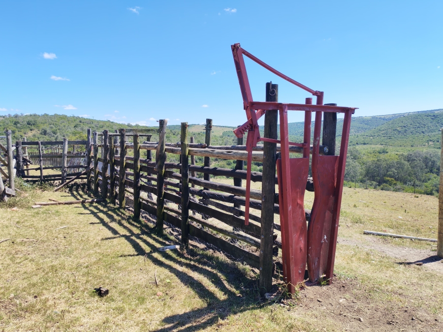 3 Bedroom Property for Sale in Komga Rural Eastern Cape